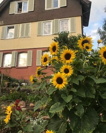 Sonnige Ferienwohnung Шрамберг Екстериор снимка