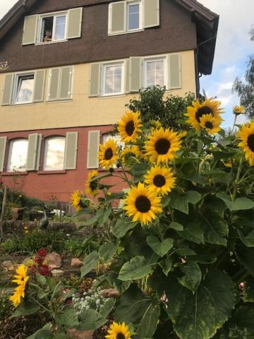 Sonnige Ferienwohnung Шрамберг Екстериор снимка